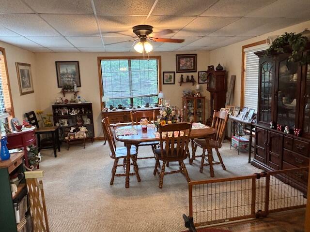 331 Briley Road Spring City, TN 37381 - Photo 19 of 32 IMG_0882