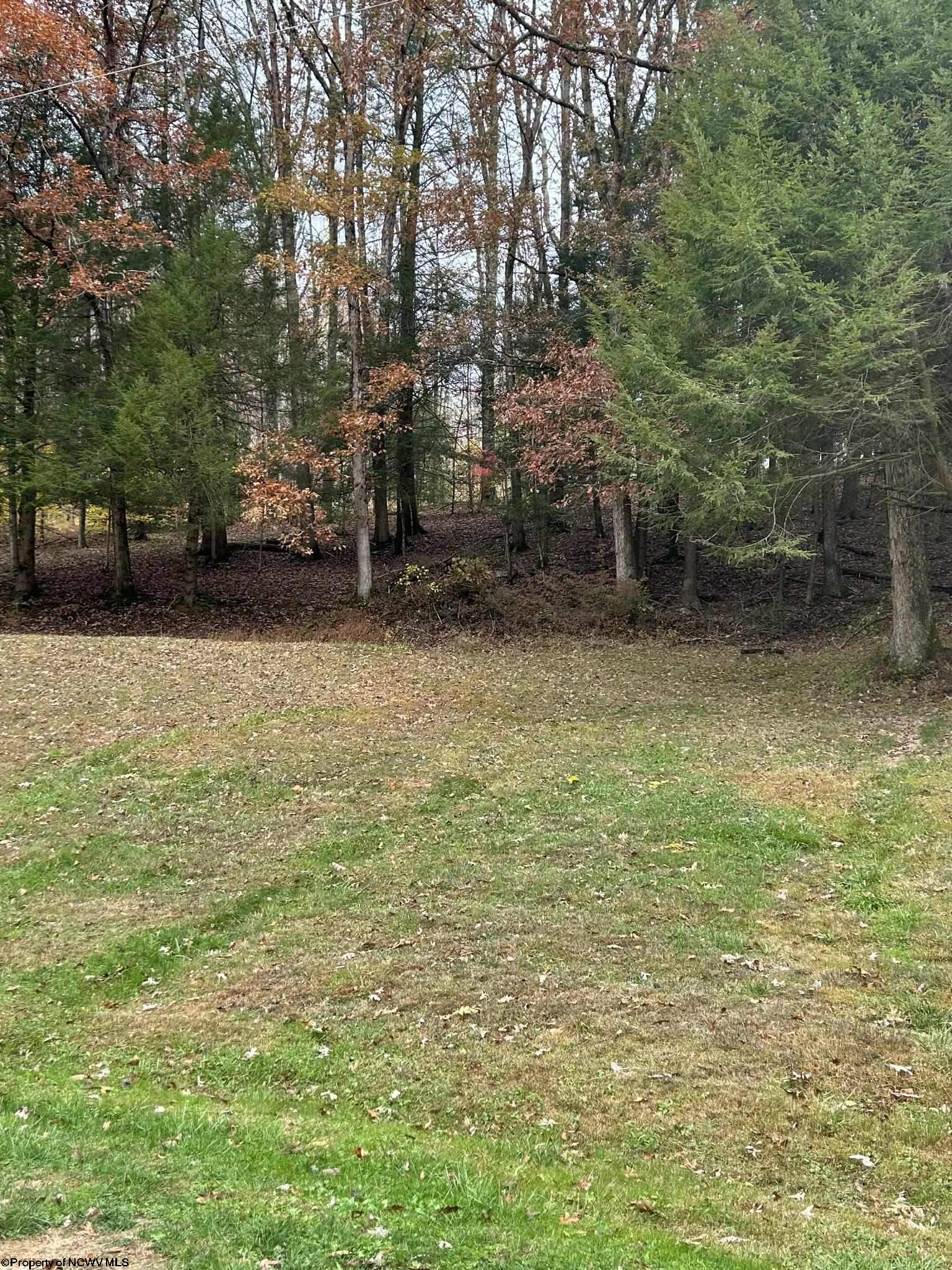 6801 Co Rte 20/15 Rock Cave, WV 26234 - Photo 10 of 21 Gallery Image 10