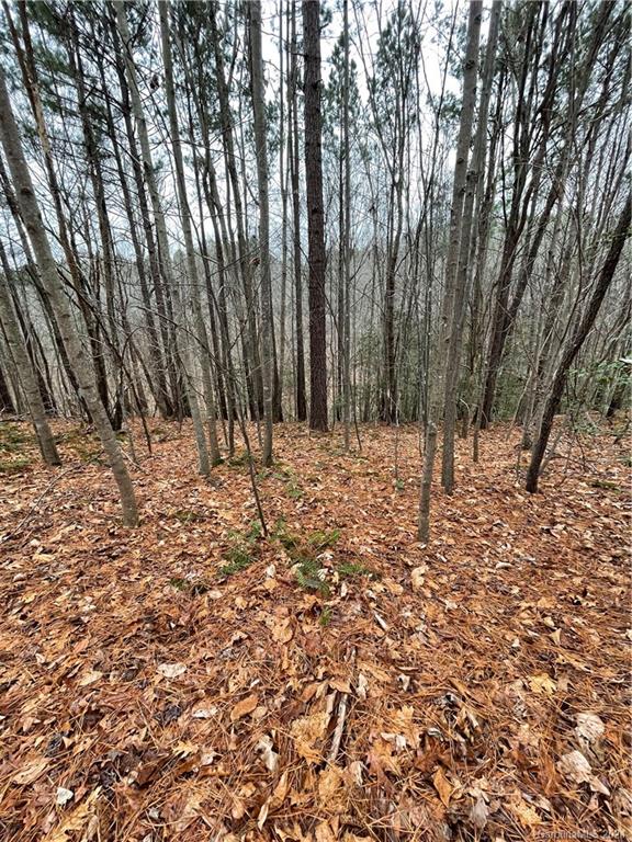 146 Ridge Point Drive Stony Point, NC 28678 - Photo 3 of 9 Gallery Image 3