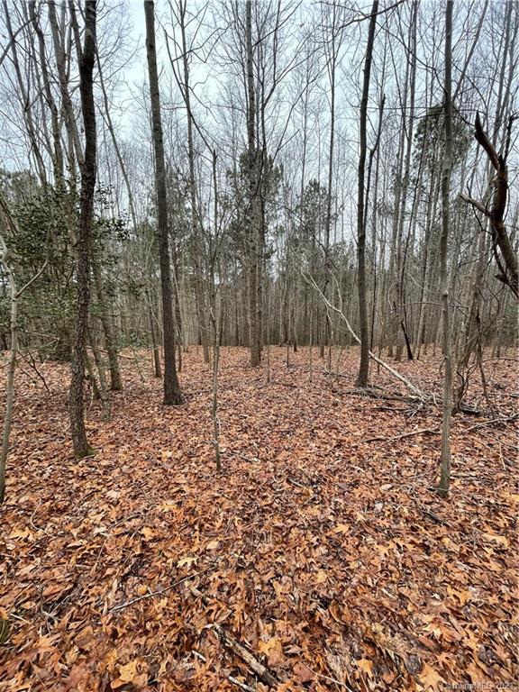 146 Ridge Point Drive Stony Point, NC 28678 - Photo 4 of 9 Gallery Image 4