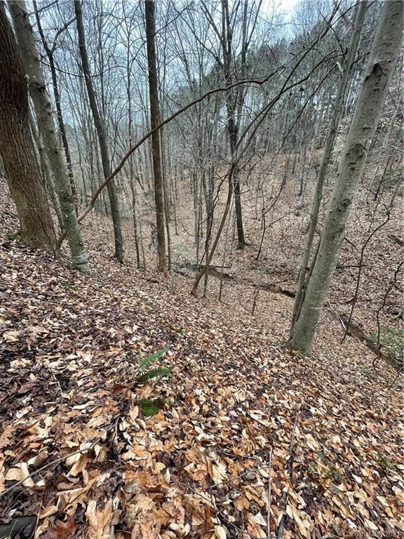 146 Ridge Point Drive Stony Point, NC 28678 - Photo 5 of 9 Gallery Image 5