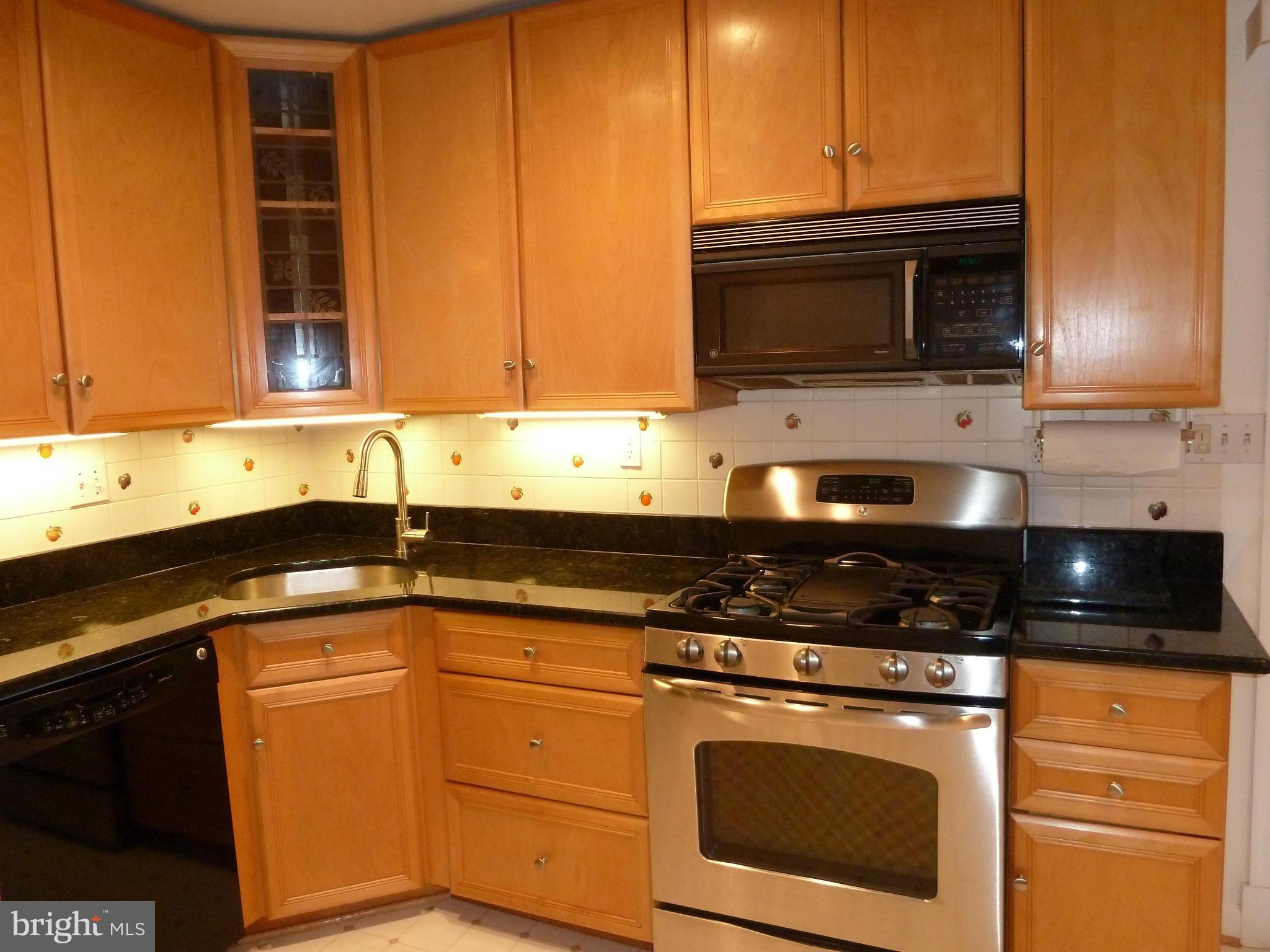 1516 Hanby Street Silver Spring, MD 20902 - Photo 6 of 30 Kitchen
