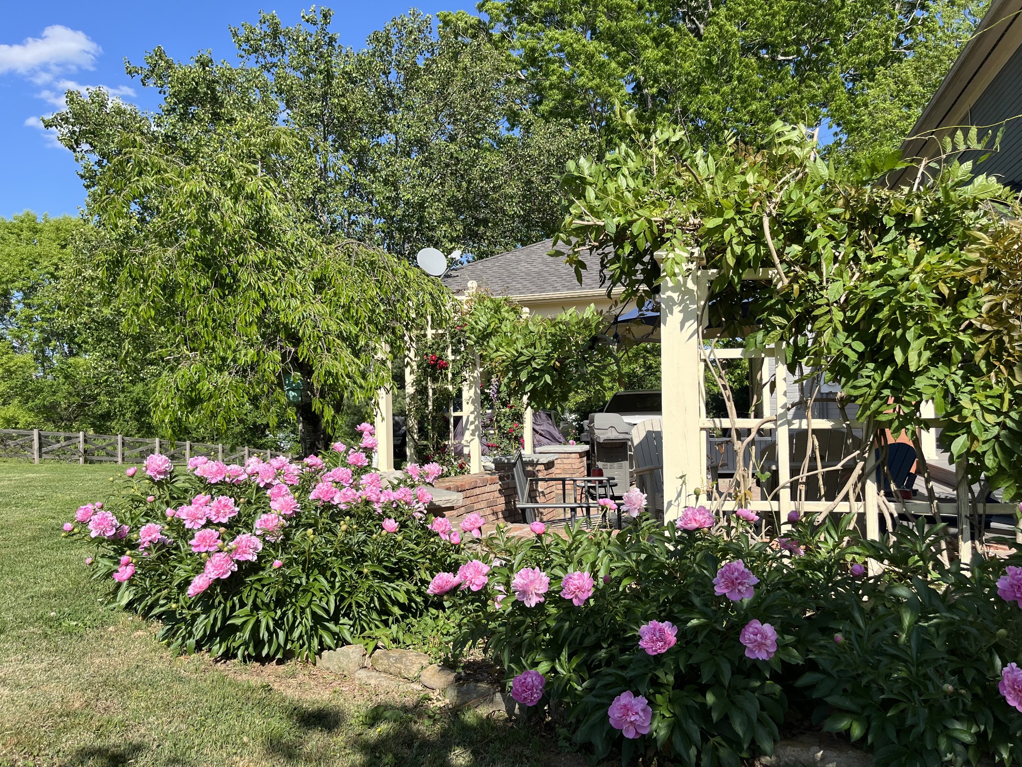 118 Lynnville Road Cornersville, TN 37047 - Photo 57 of 71