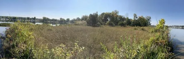 $39,000 | 5 Pickeral Ave Union, Union, MI 49130