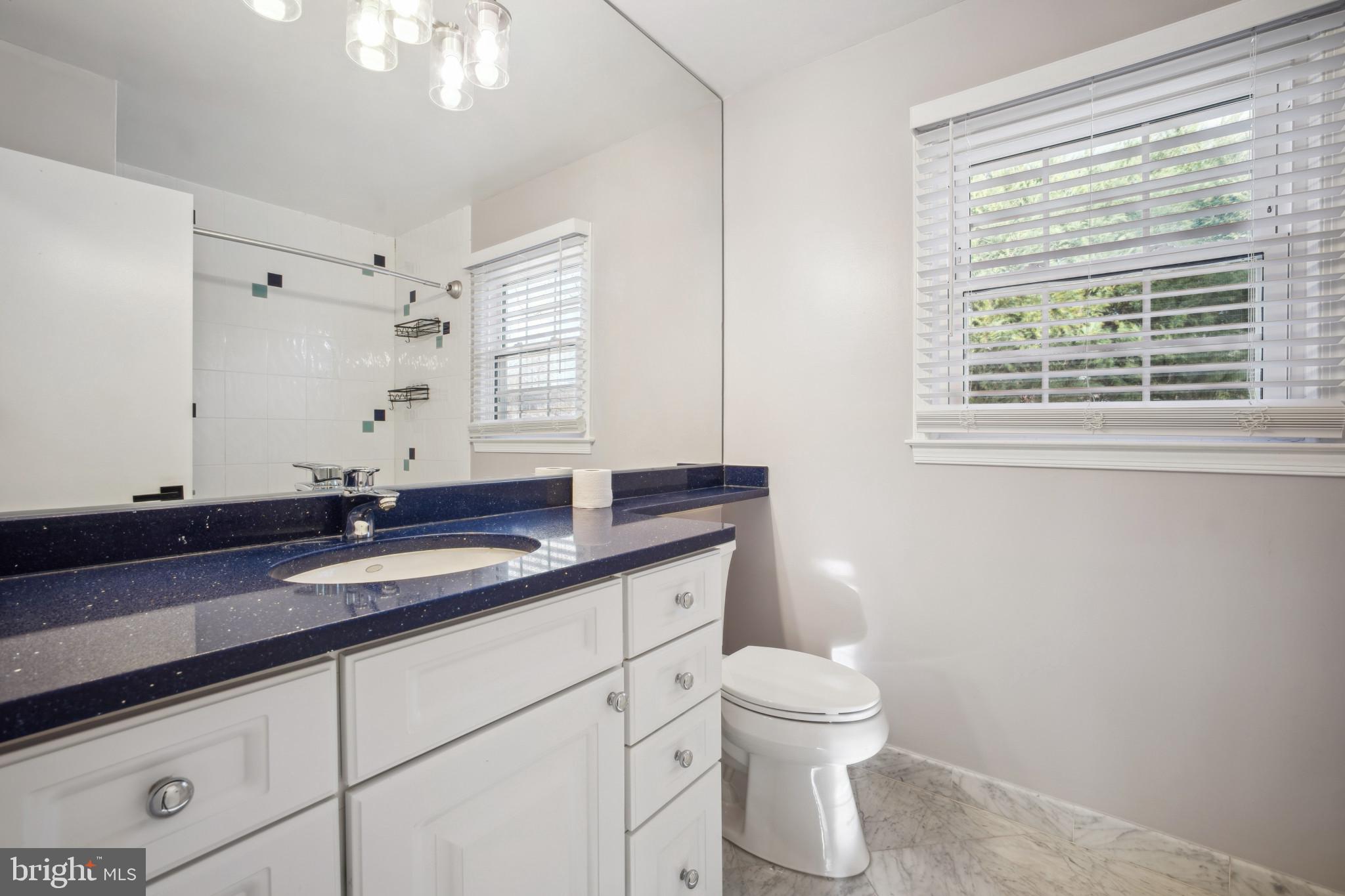13201 Rippling Brook Drive Silver Spring, MD 20906 - Photo 34 of 48 Hall Bathroom View 1
