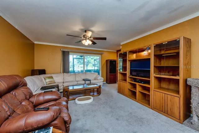 a living room with furniture a ceiling fan and a window
