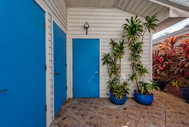a view of a potted plants in front of door