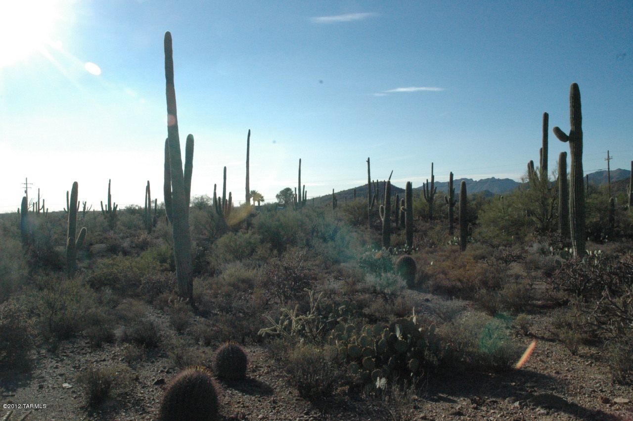 6800 North Wade Road Tucson, AZ 85743 - Photo 5 of 24 Gallery Image 5