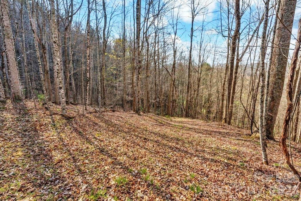 Tbd Denney Wood Road Sugar Grove, NC 28679 - Photo 12 of 21 a view of wooden fence and trees