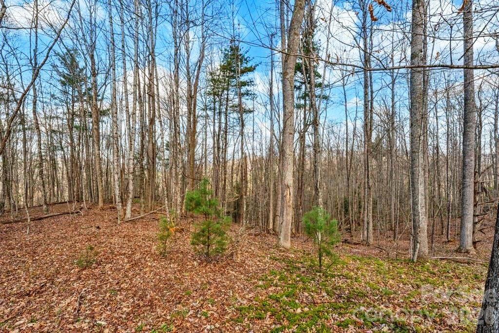 Tbd Denney Wood Road Sugar Grove, NC 28679 - Photo 13 of 21