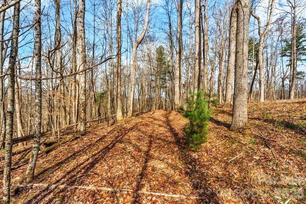 Tbd Denney Wood Road Sugar Grove, NC 28679 - Photo 14 of 21 a view of backyard with pathway