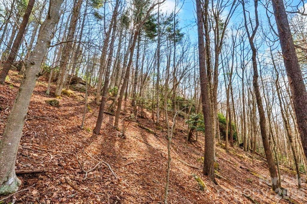 Tbd Denney Wood Road Sugar Grove, NC 28679 - Photo 15 of 21 a view of outdoor space with a garden