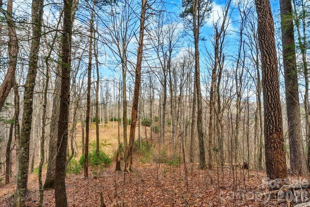 Tbd Denney Wood Road Sugar Grove, NC 28679 - Photo 18 of 21 a view of outdoor space with lots of trees