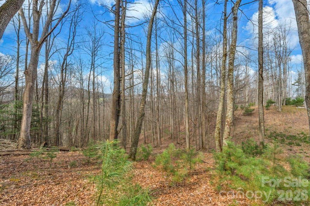 Tbd Denney Wood Road Sugar Grove, NC 28679 - Photo 19 of 21 a view of a backyard of the house