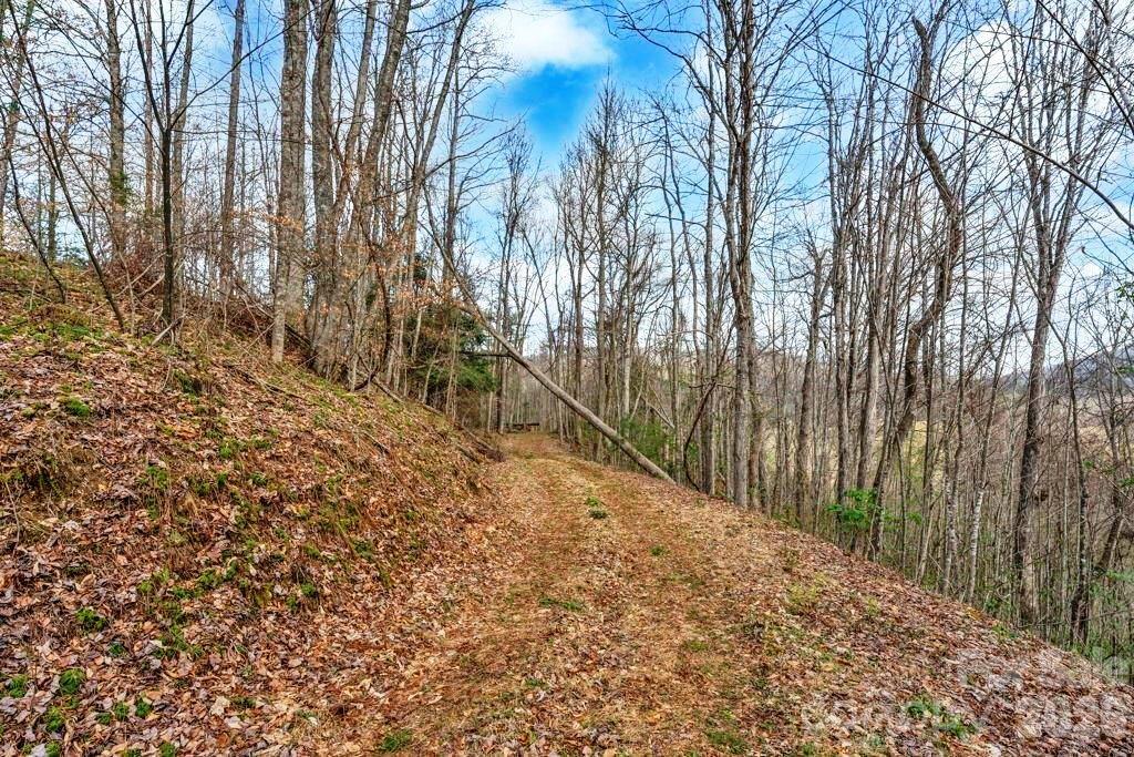 Tbd Denney Wood Road Sugar Grove, NC 28679 - Photo 20 of 21