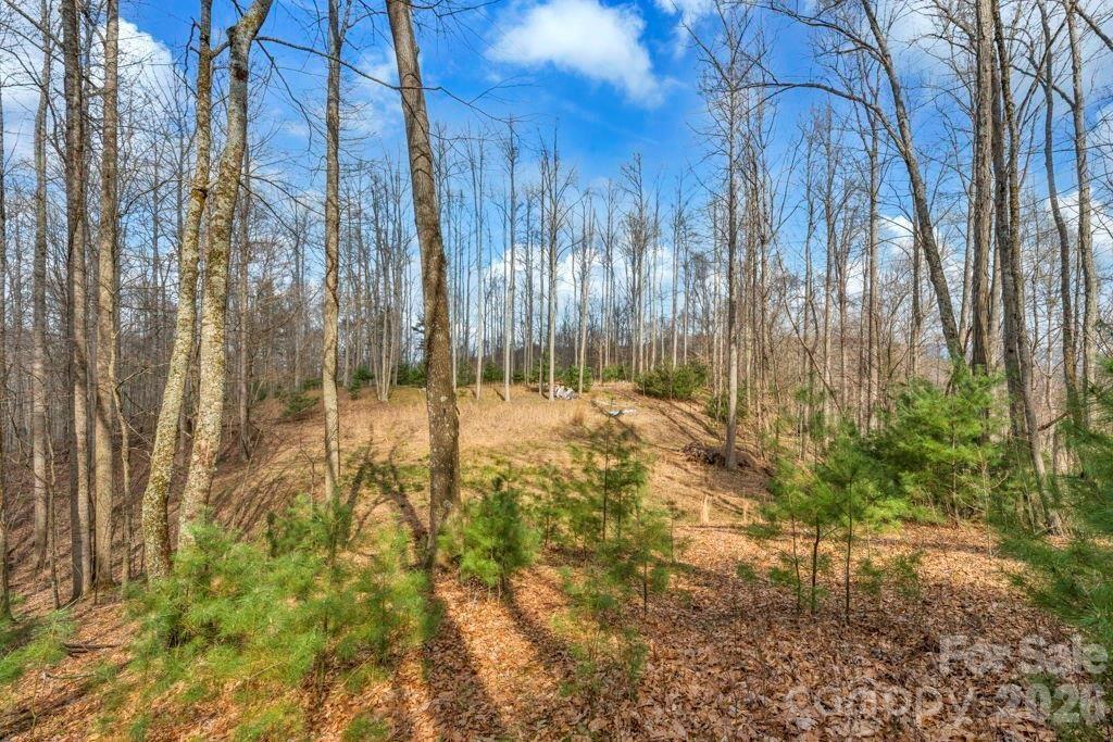 Tbd Denney Wood Road Sugar Grove, NC 28679 - Photo 2 of 21 a view of yard with trees