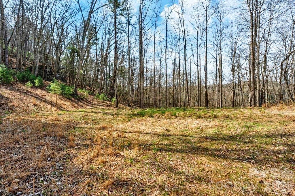 Tbd Denney Wood Road Sugar Grove, NC 28679 - Photo 3 of 21 a view of a backyard of the house