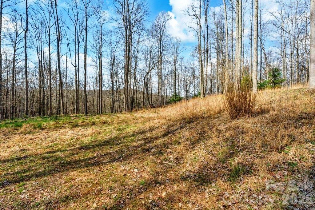 Tbd Denney Wood Road Sugar Grove, NC 28679 - Photo 4 of 21 a view of large yard with trees