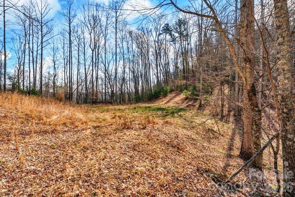 Tbd Denney Wood Road Sugar Grove, NC 28679 - Photo 10 of 21 a view of backyard with wooden fence
