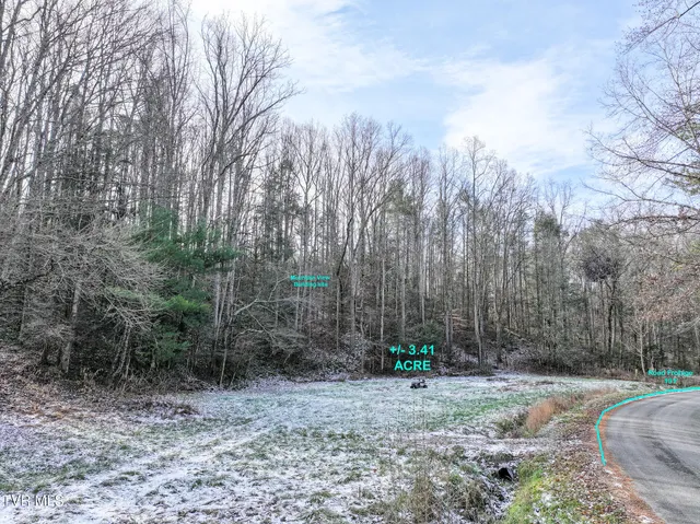 $75,000 | 875 Frank Roberts Road, Unit 4 & 5, Afton, TN 37616
