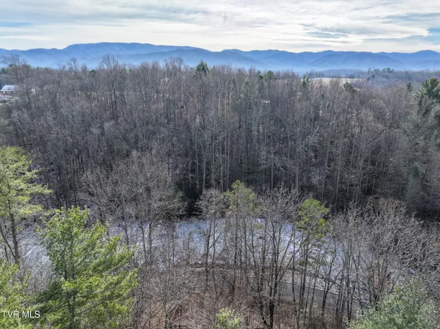 $75,000 | 875 Frank Roberts Road, Unit 4 & 5, Afton, TN 37616