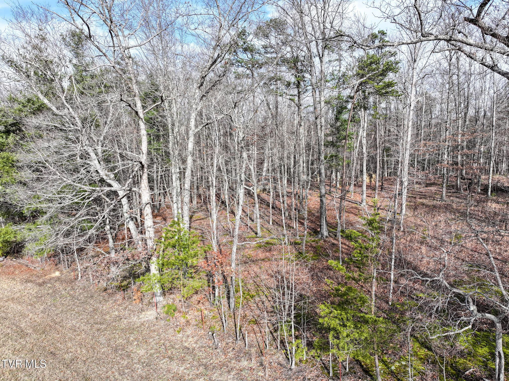 875 Frank Roberts Road, Unit 4 & 5 Afton, TN 37616 - Photo 14 of 27 DJI_20251215135308_0384_D