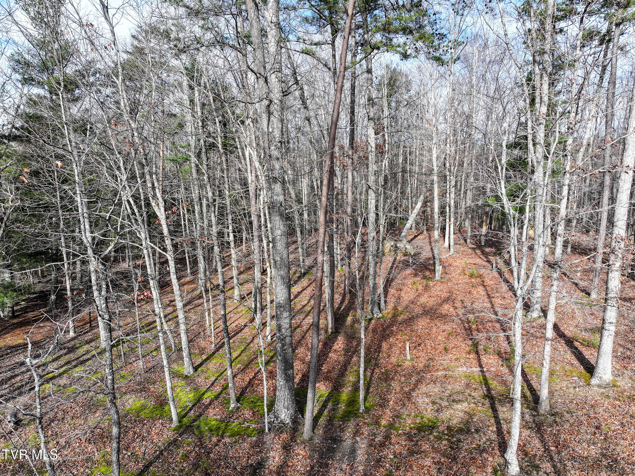 875 Frank Roberts Road, Unit 4 & 5 Afton, TN 37616 - Photo 15 of 27 DJI_20251215135322_0385_D