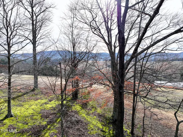 $75,000 | 875 Frank Roberts Road, Unit 4 & 5, Afton, TN 37616