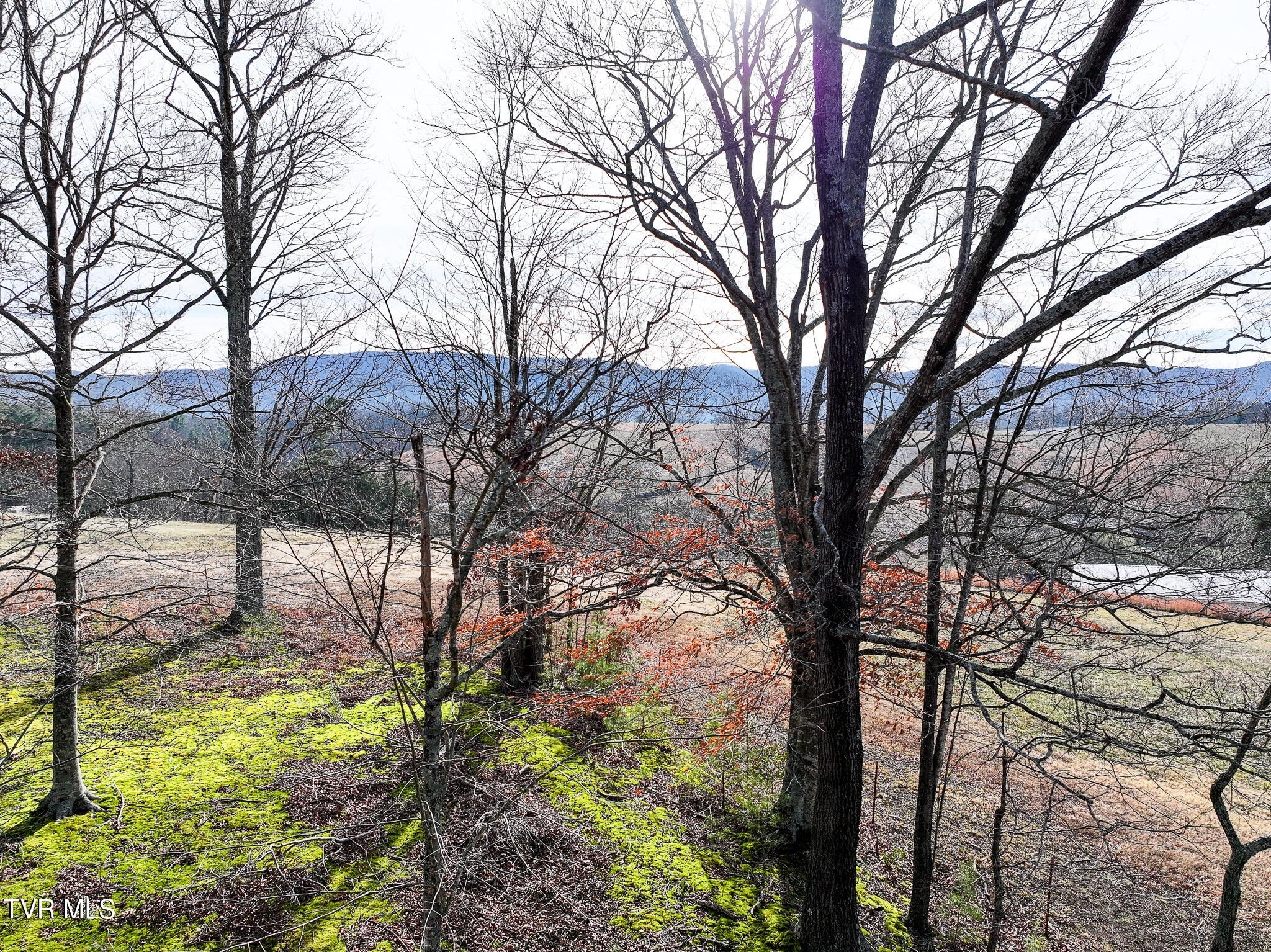 875 Frank Roberts Road, Unit 4 & 5 Afton, TN 37616 - Photo 16 of 27 DJI_20251215135334_0387_D