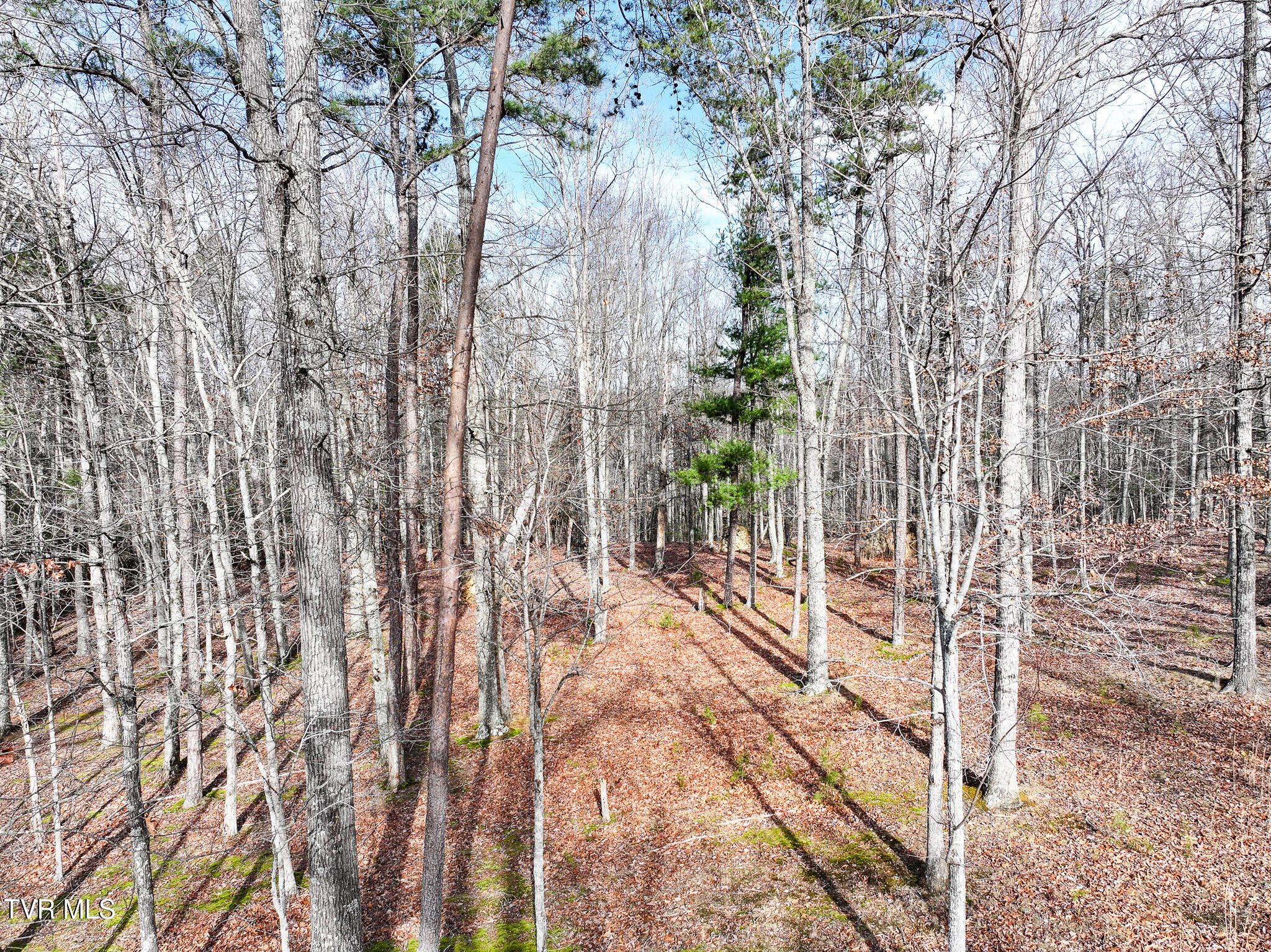 875 Frank Roberts Road, Unit 4 & 5 Afton, TN 37616 - Photo 17 of 27 DJI_20251215135359_0390_D