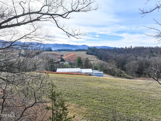 $75,000 | 875 Frank Roberts Road, Unit 4 & 5, Afton, TN 37616