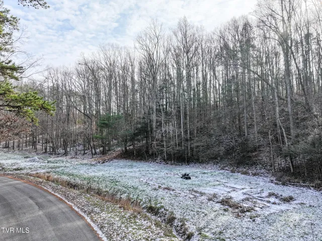 $75,000 | 875 Frank Roberts Road, Unit 4 & 5, Afton, TN 37616