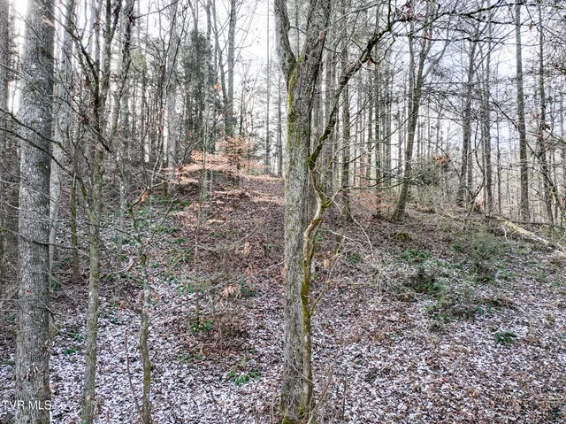 $75,000 | 875 Frank Roberts Road, Unit 4 & 5, Afton, TN 37616