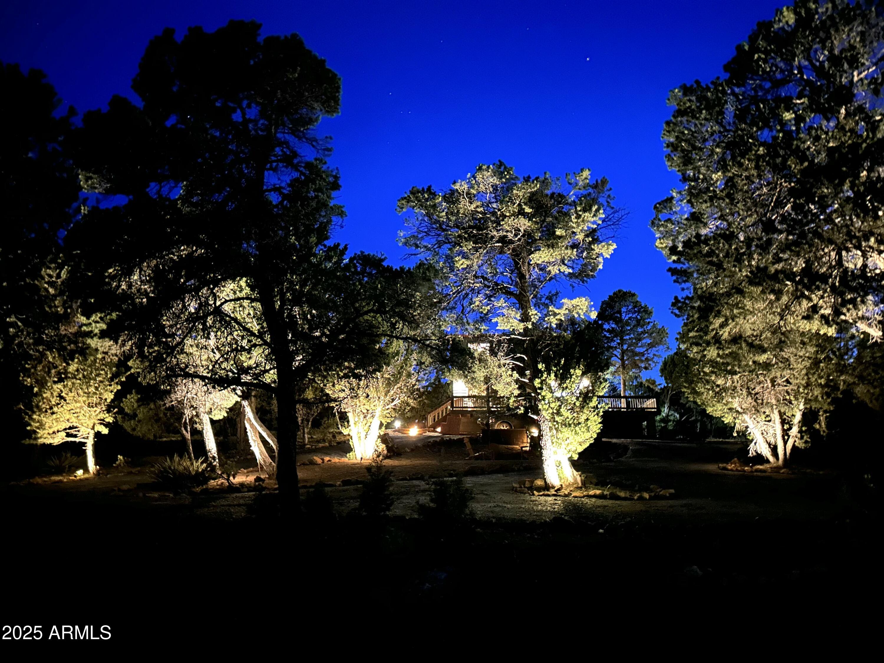 3482 Carefree Road Heber, AZ 85928 - Photo 57 of 78 IMG_1821 5