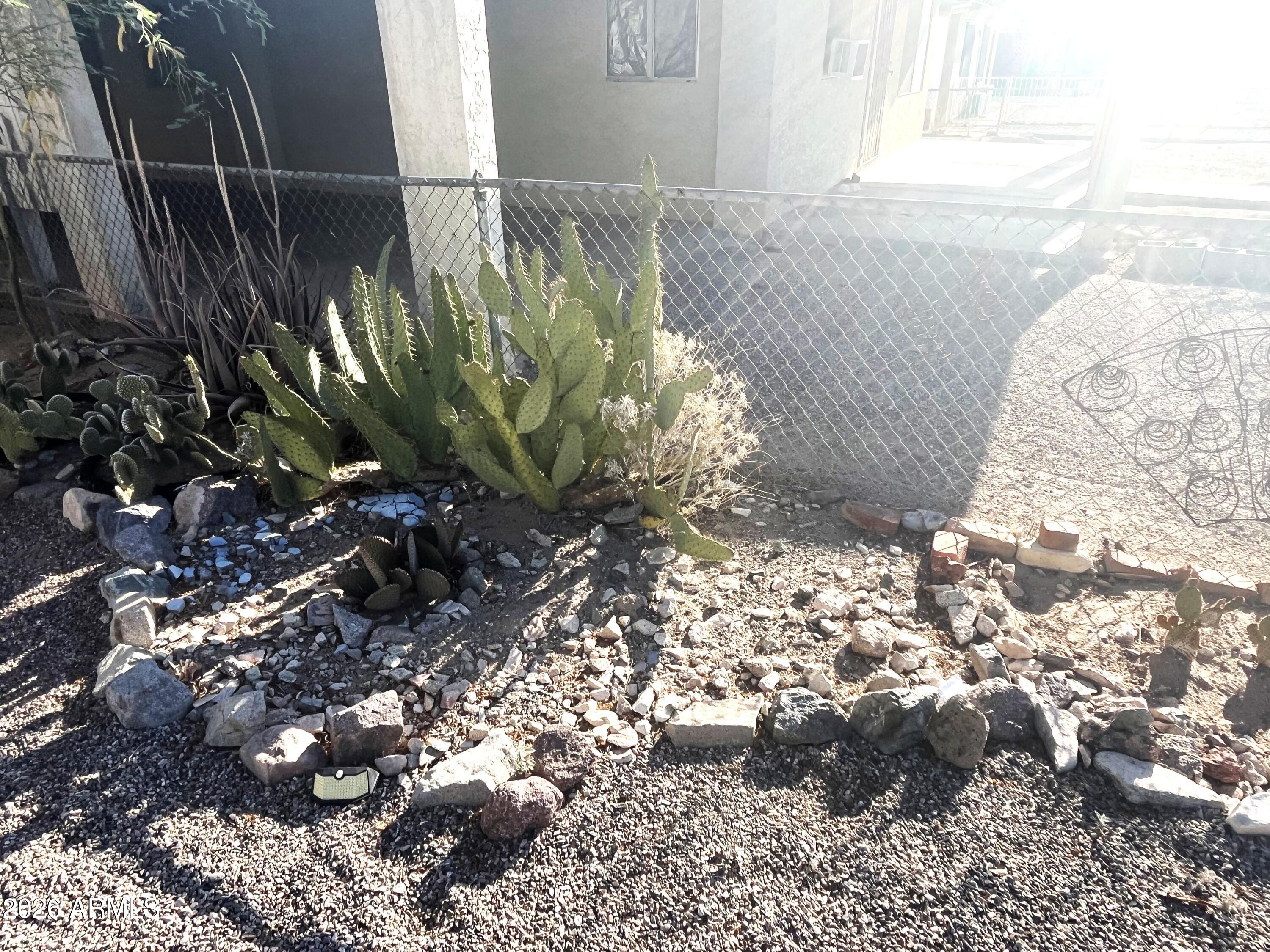 640 West Rocalla Avenue Ajo, AZ 85321 - Photo 23 of 27 Front Yard 2