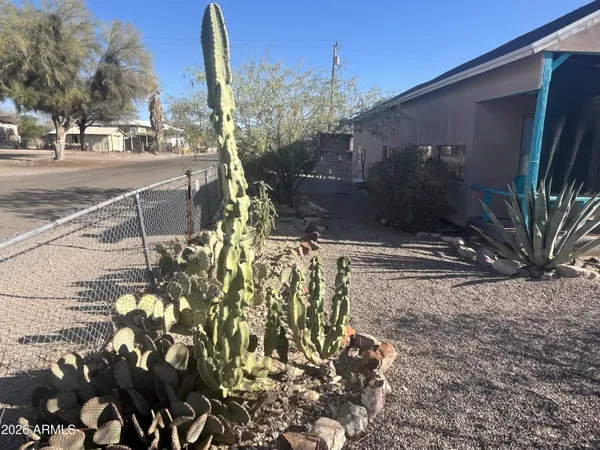 a view of a backyard
