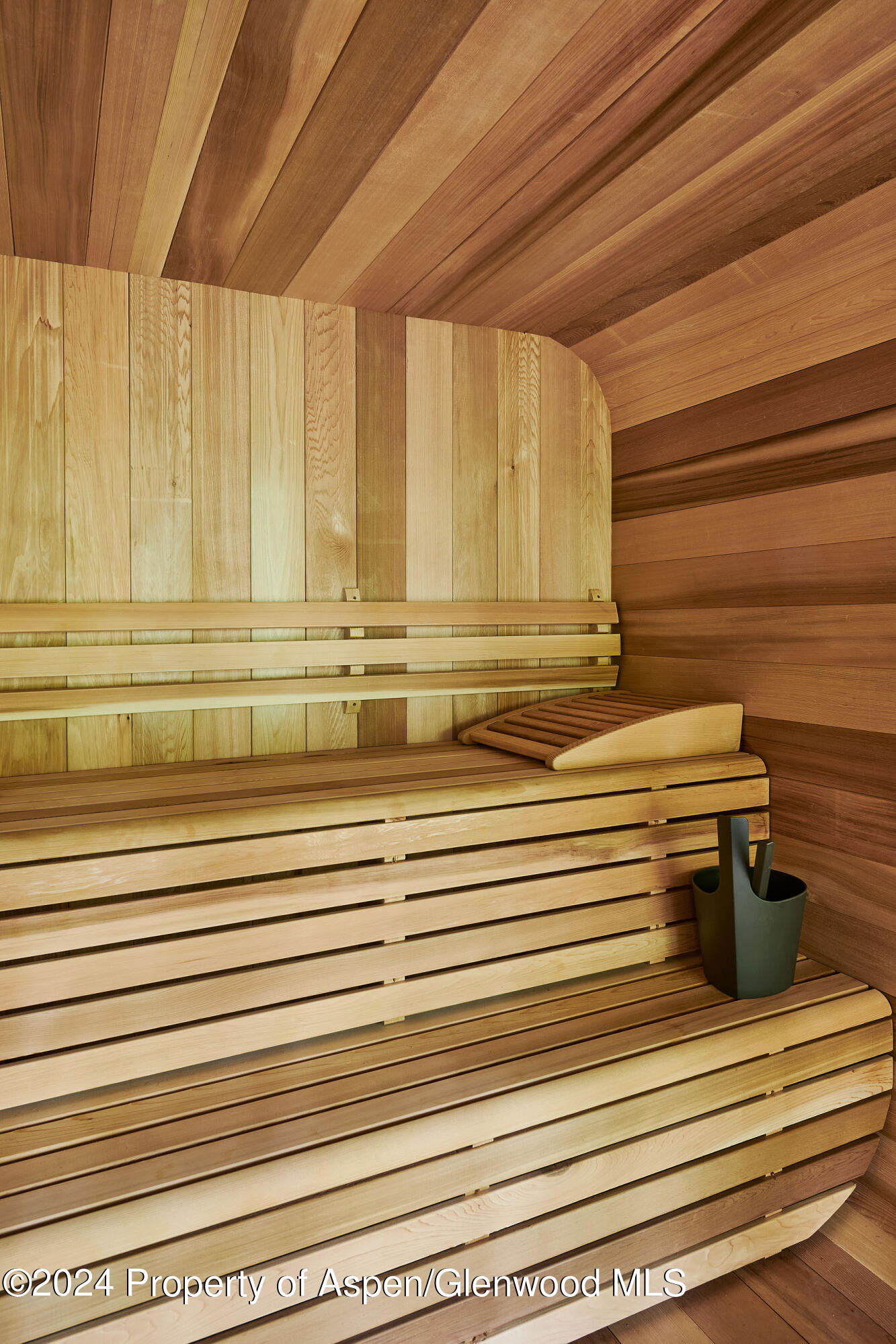 1271 Ute Avenue Aspen, CO 81611 - Photo 18 of 58 1271Ute_Summer_12_WEB