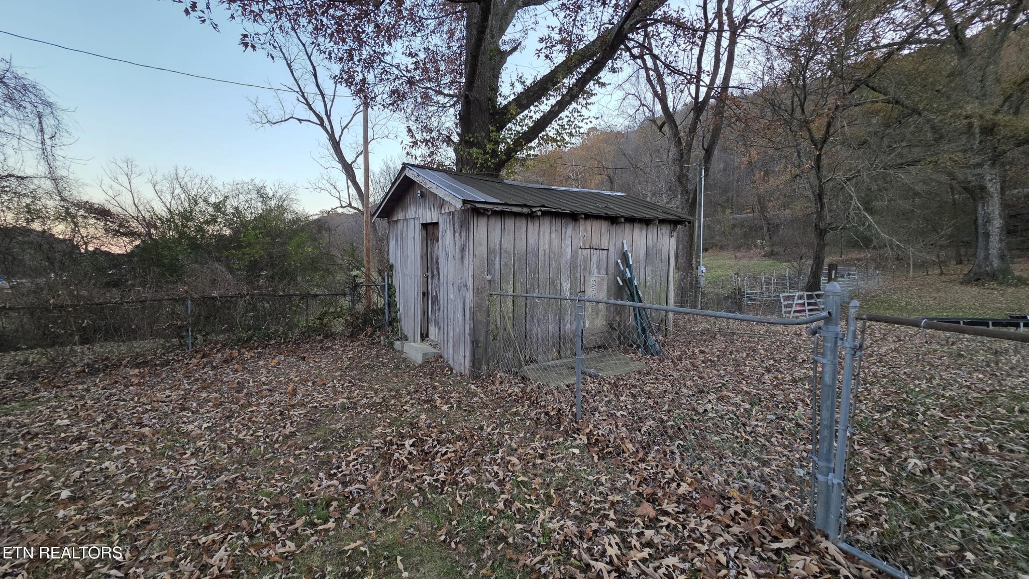992 Walden Ridge Lane Caryville, TN 37714 - Photo 14 of 58 a backyard of a house with lots of green space