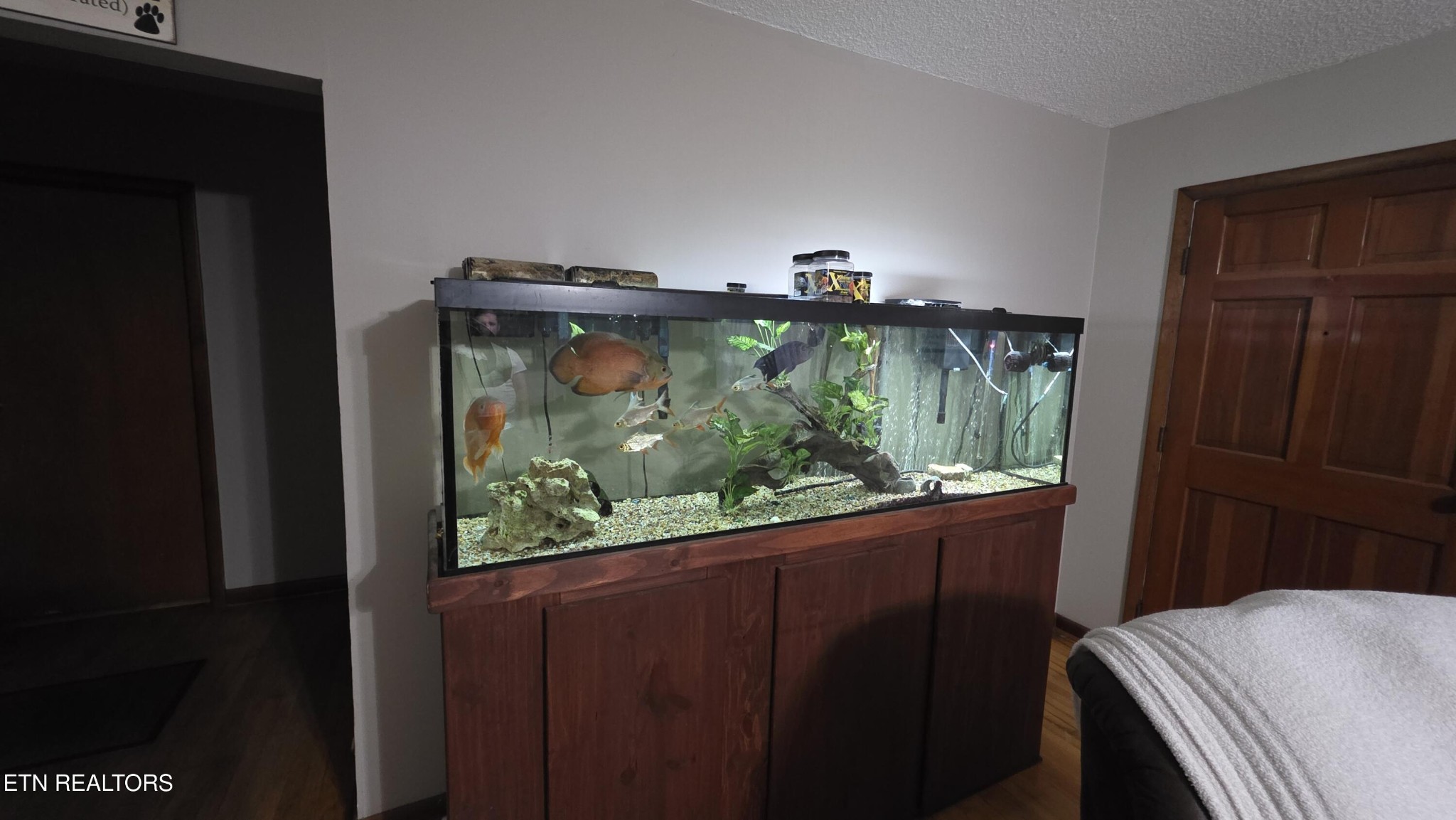 992 Walden Ridge Lane Caryville, TN 37714 - Photo 40 of 58 a view of bedroom with furniture and window