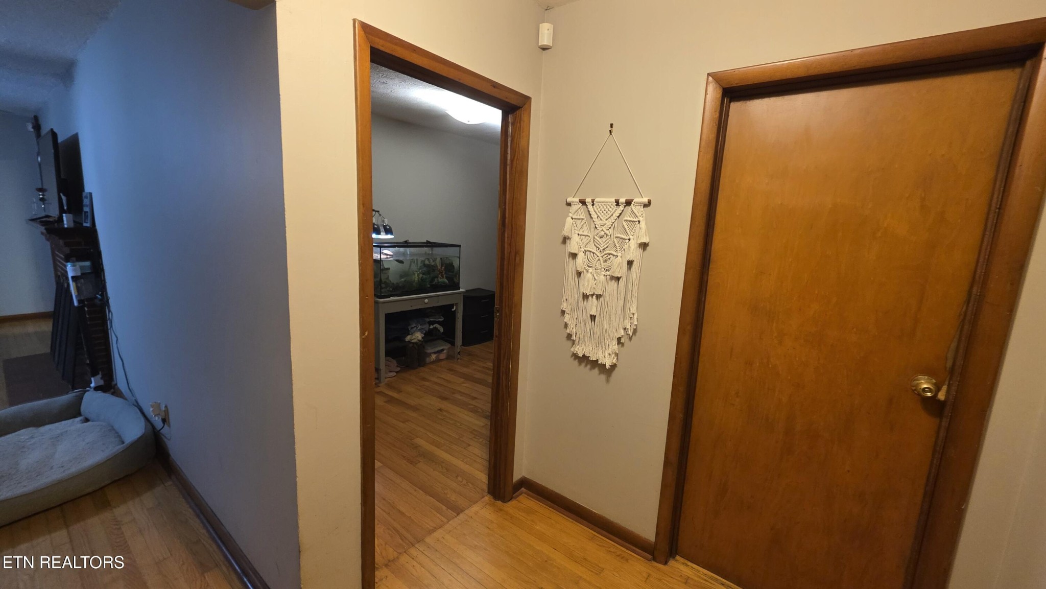 992 Walden Ridge Lane Caryville, TN 37714 - Photo 43 of 58