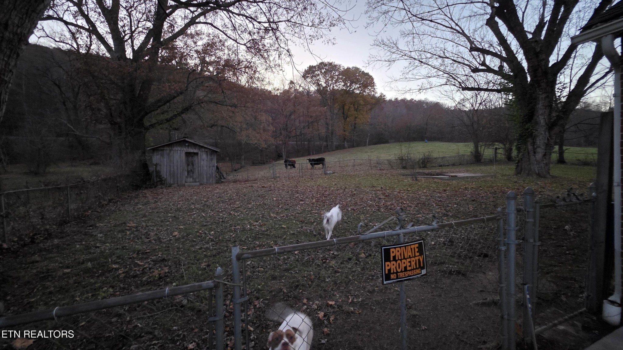 992 Walden Ridge Lane Caryville, TN 37714 - Photo 58 of 58 a backyard of a house with lots of green space
