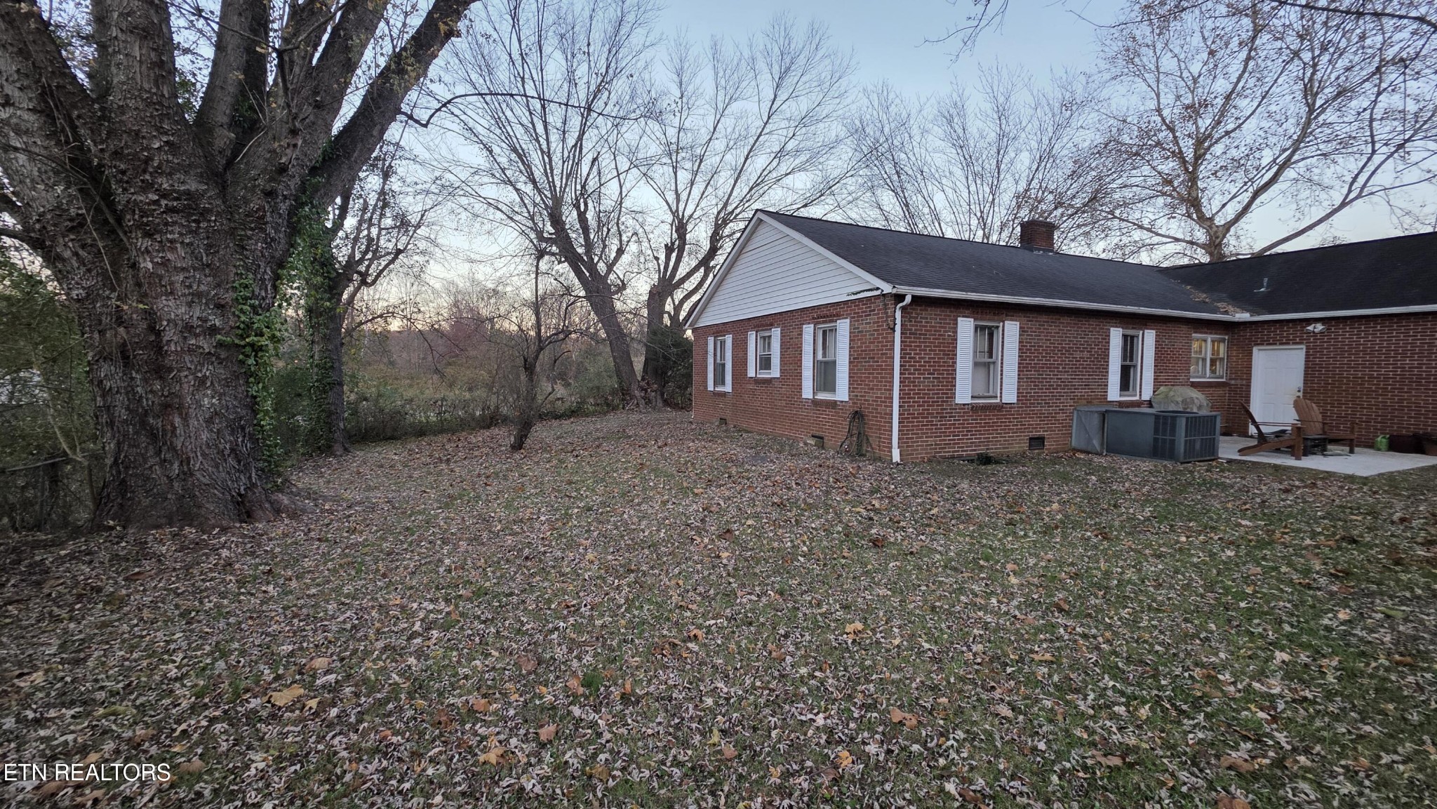 992 Walden Ridge Lane Caryville, TN 37714 - Photo 8 of 58 a view of a house with a yard and large tree