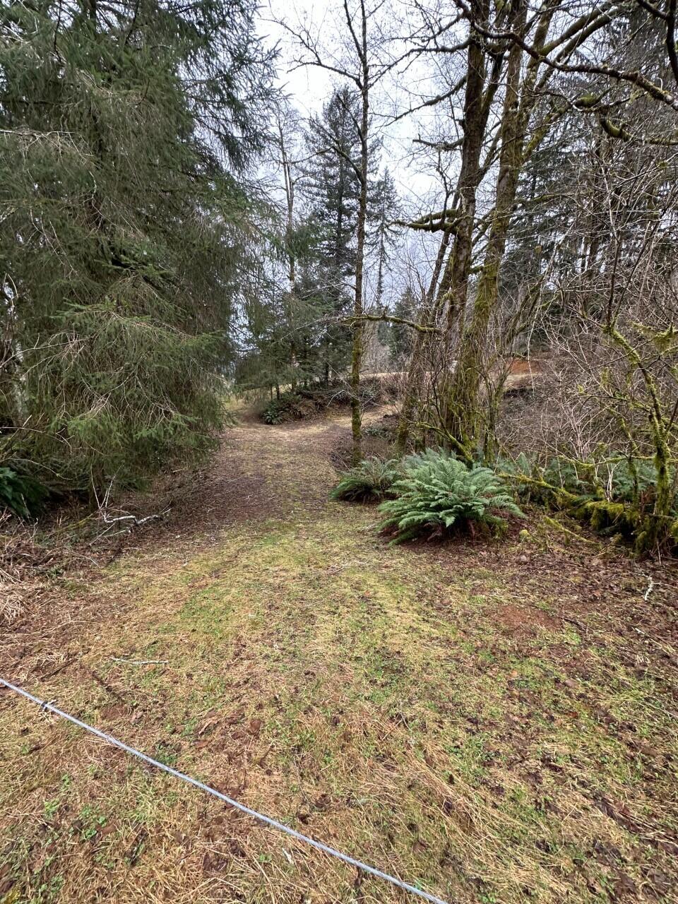 11-12 Big Trout Road Grand Ronde, OR 97347 - Photo 2 of 17 pic4_IMG_0814