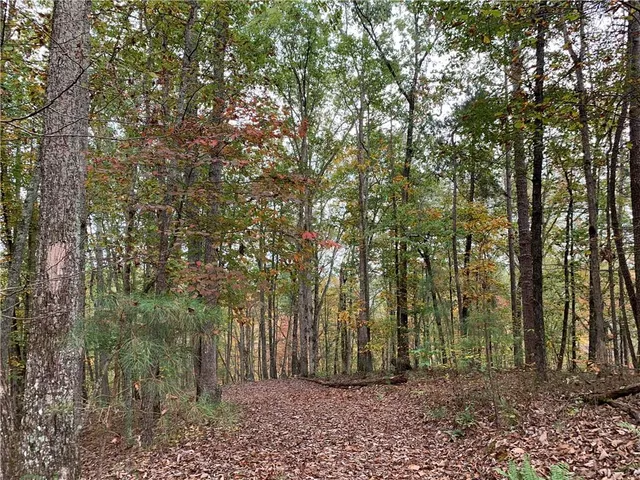 a view of outdoor space and tree