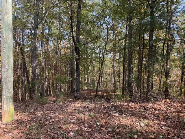 a view of outdoor space with lots of trees