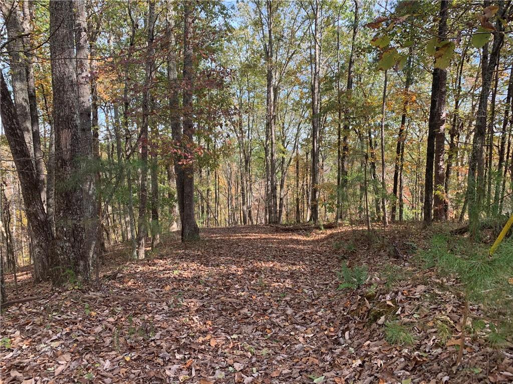 128 Adair Drive Ranger, GA 30734 - Photo 13 of 16