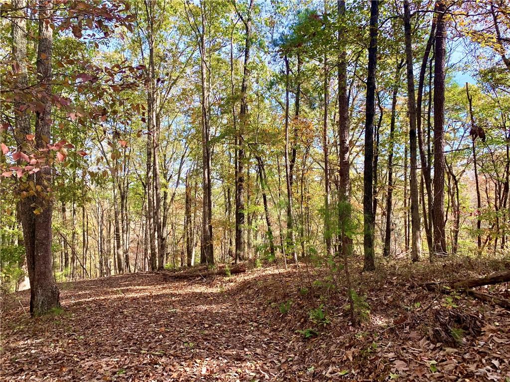 128 Adair Drive Ranger, GA 30734 - Photo 14 of 16