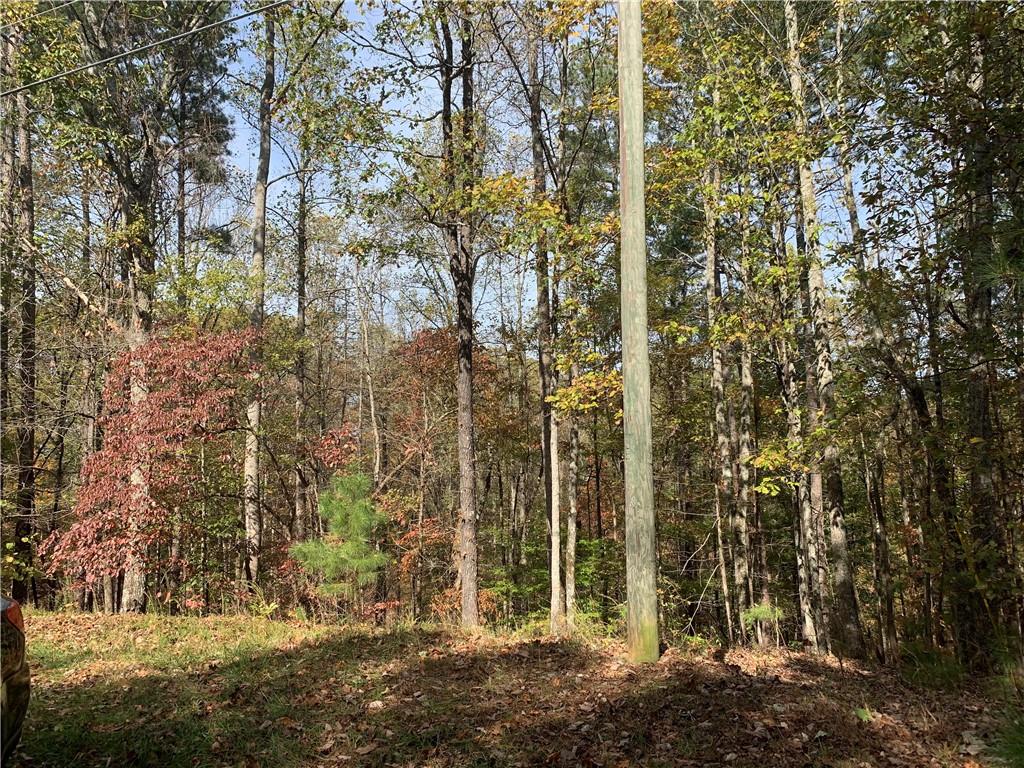 128 Adair Drive Ranger, GA 30734 - Photo 16 of 16