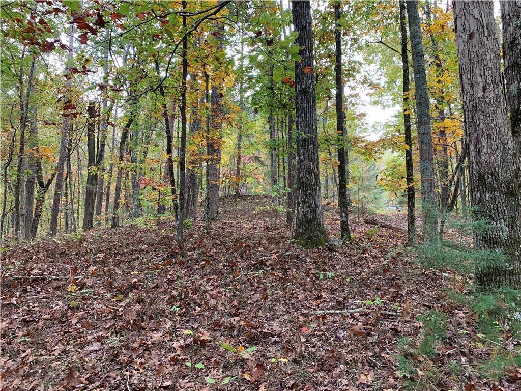 128 Adair Drive Ranger, GA 30734 - Photo 4 of 16