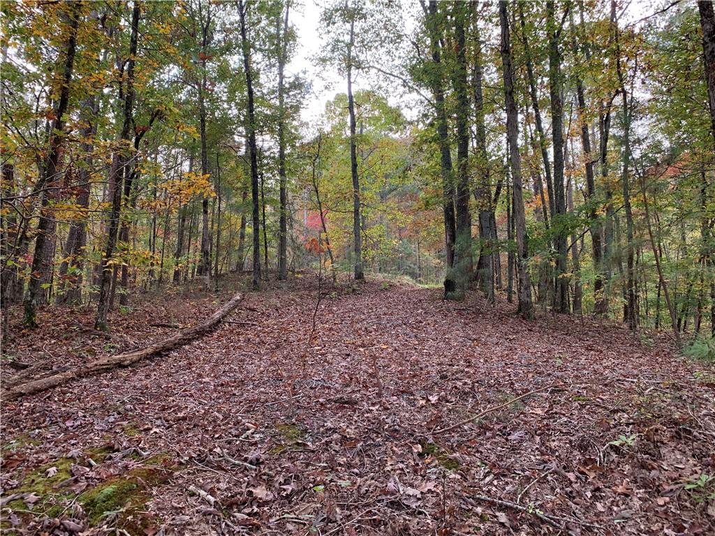 128 Adair Drive Ranger, GA 30734 - Photo 5 of 16